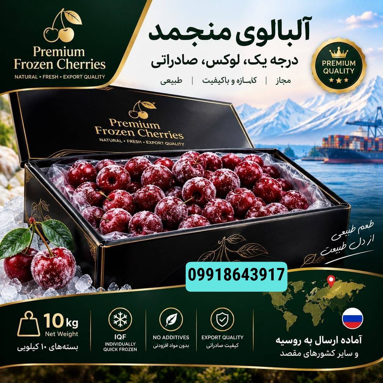 آلبالو منجمد صادراتی